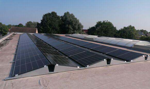 IMG_20230608_093631 IMG_20230608_093631